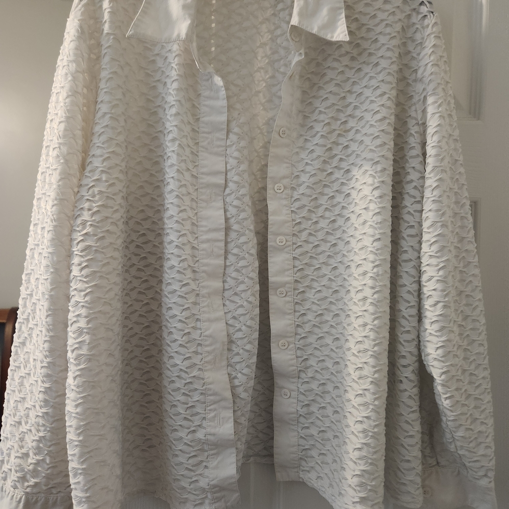 Josephine Chaus Cream Lace Button-Front Blouse - 18W